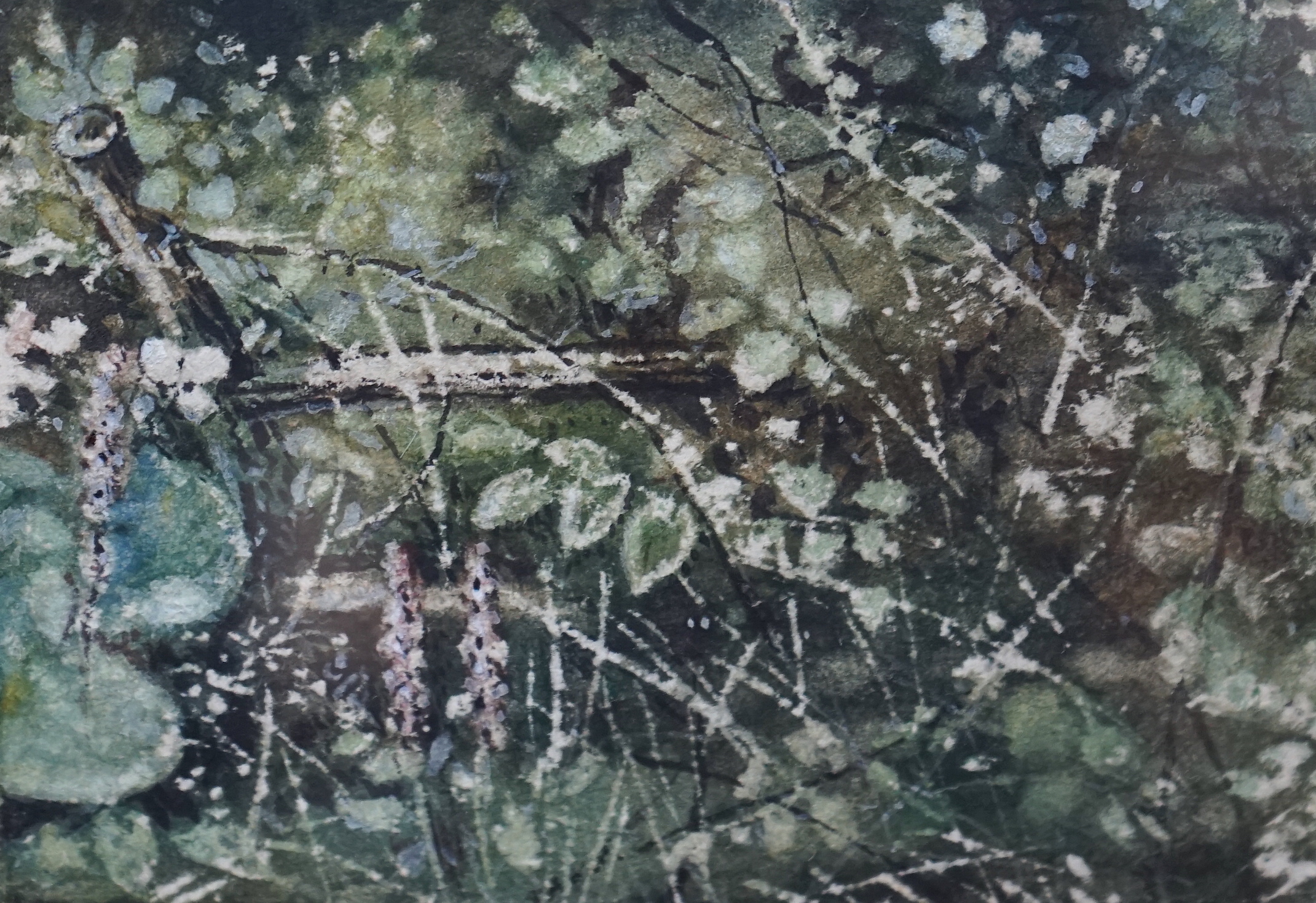 Attributed to Myles Birkett Foster RWS (1825-1899), watercolour, ‘’Study of a hedgerow’’, provenance details verso from the artist’s sketchbook, 9 x 11cm